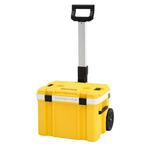 DeWALT DWST83281-1